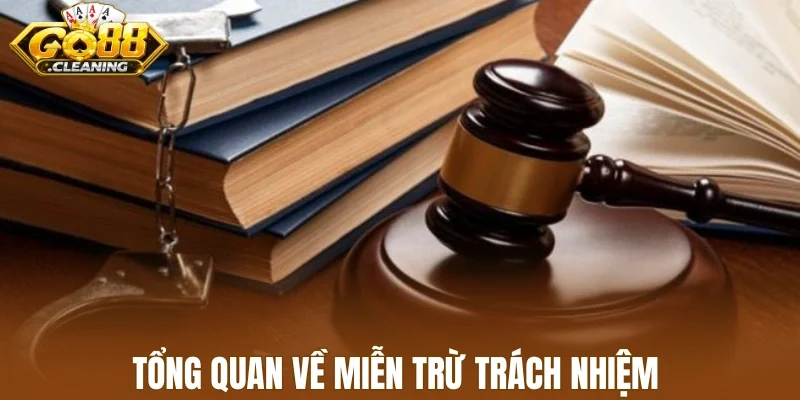 Tổng quan về miễn trừ trách nhiệm