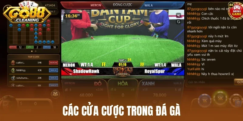 Các cửa cược trong đá gà