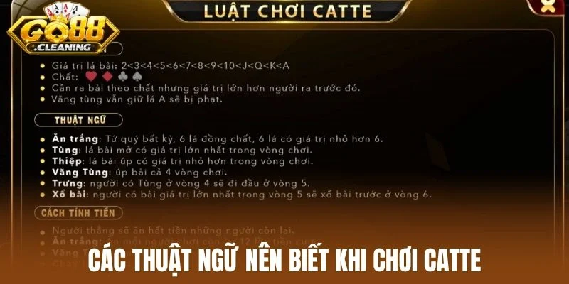 Các thuật ngữ nên biết khi chơi catte