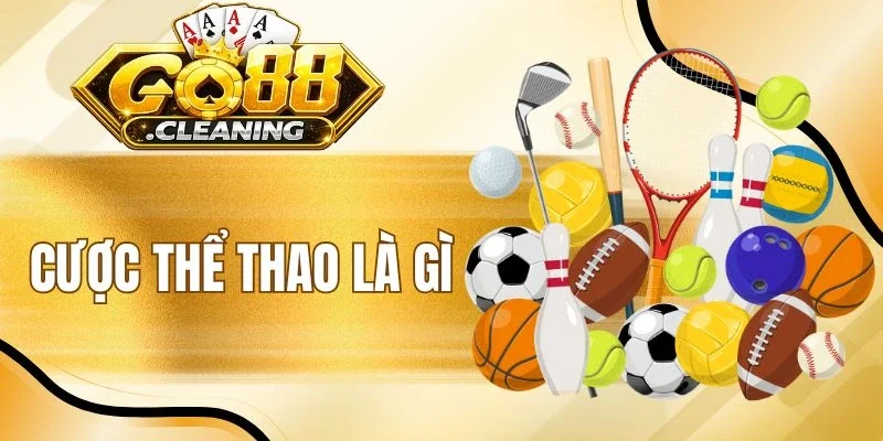 Cược Thể Thao Là Gì - Chốt Kèo Ngon, Chinh Phục Trận Đấu