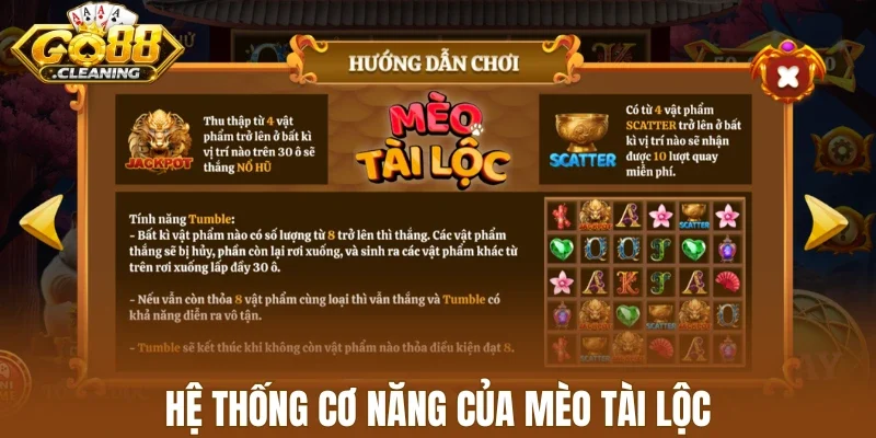 Hệ thống cơ năng của mèo tài lộc