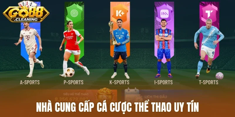 Nhà cung cấp cá cược thể thao uy tín