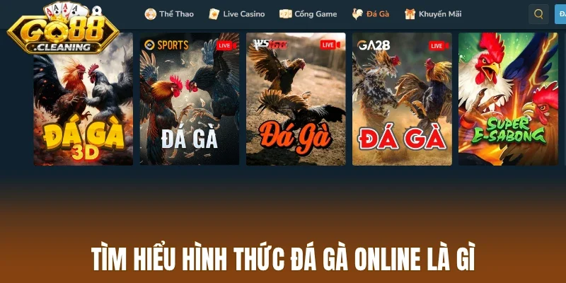 Tìm hiểu hình thức đá gà online là gì